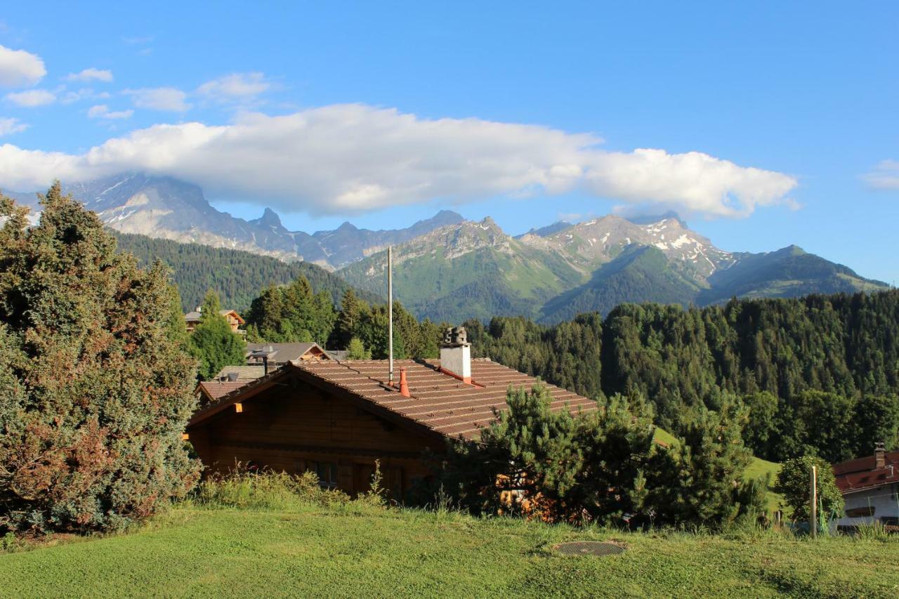 Chalet Le Slalom Arveyes Zewnętrze zdjęcie