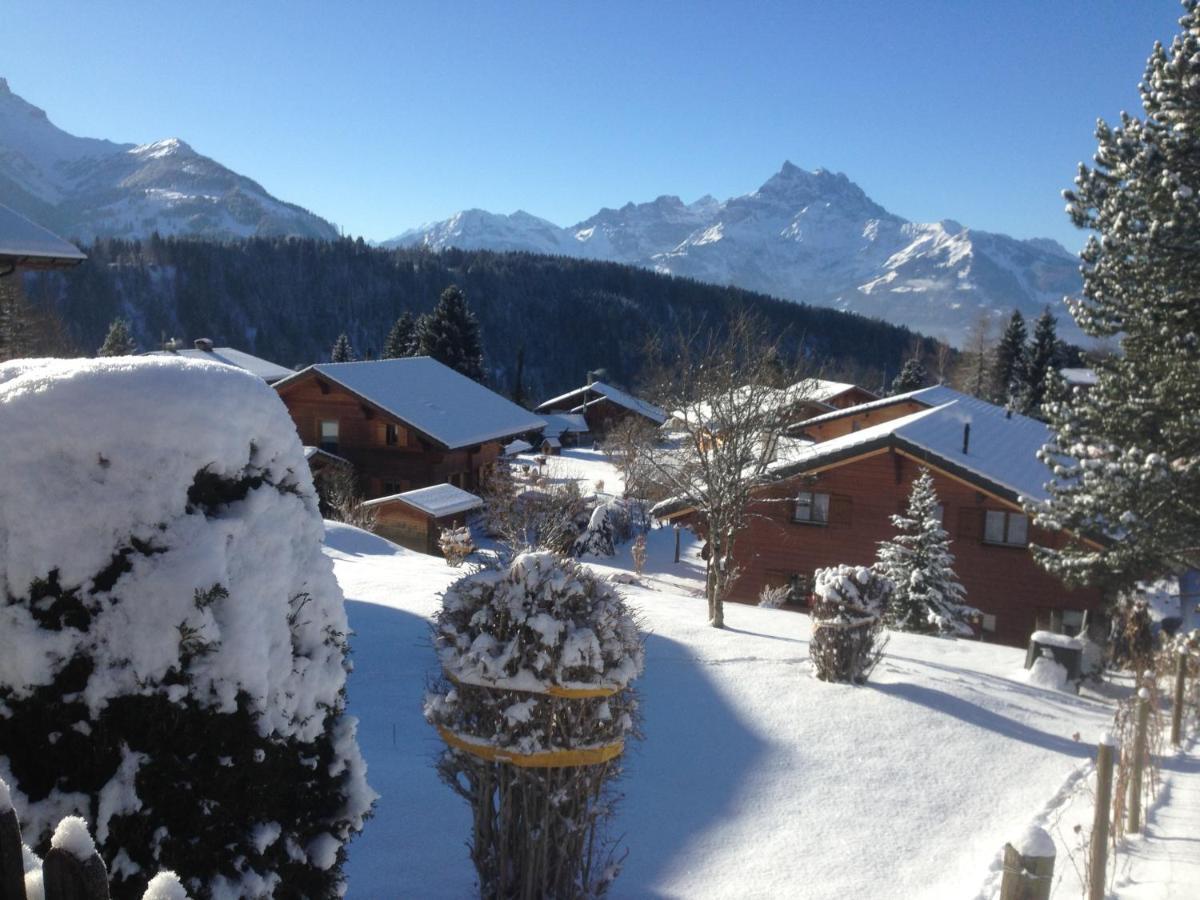 Chalet Le Slalom Arveyes Zewnętrze zdjęcie